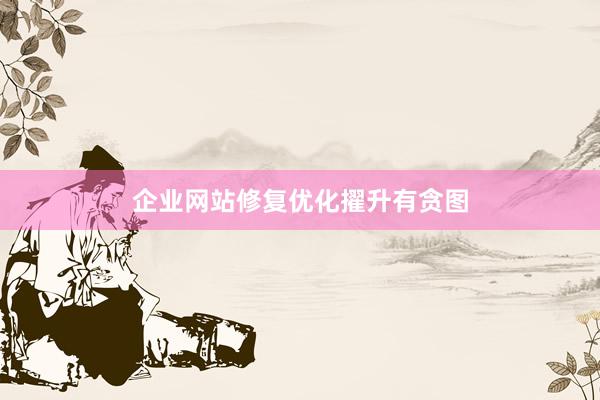 企业网站修复优化擢升有贪图