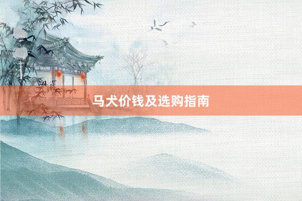 马犬价钱及选购指南