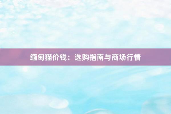 缅甸猫价钱：选购指南与商场行情