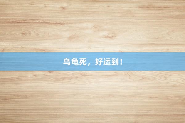 乌龟死，好运到！
