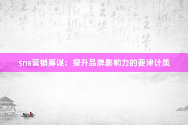 sns营销筹谋：擢升品牌影响力的要津计策